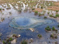 Yellowstone Old faithfull et ses environs (31).JPG